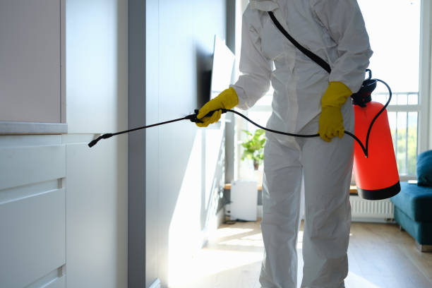 Best Mold Testing  in White Sands, NM