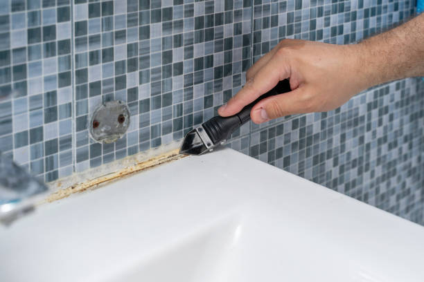 Best Mold Removal Near Me  in White Sands, NM